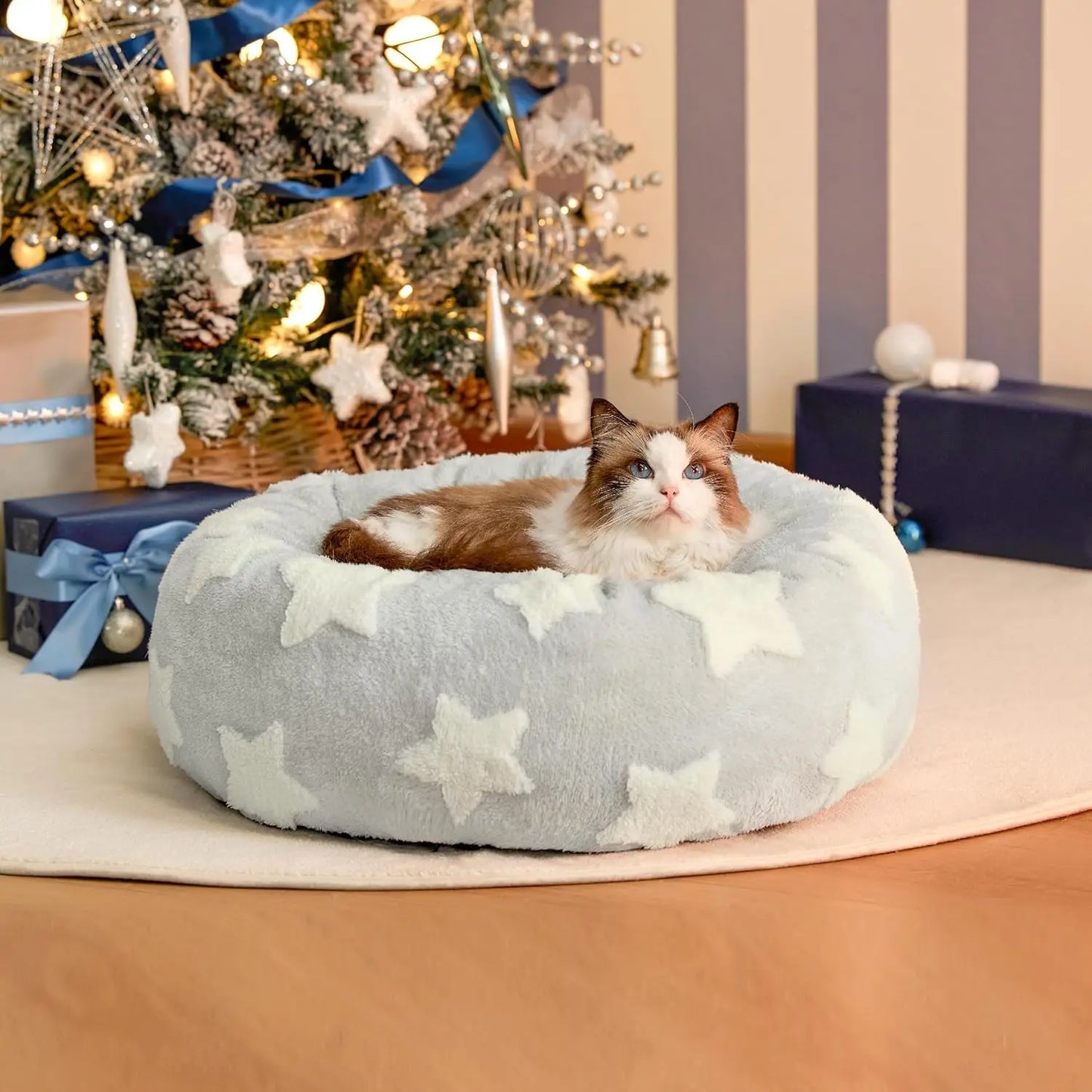 Donut Small Dog Bed - Round Cat Beds for Indoor Cats Calming Pet Beds, Cute Modern Beds with Jacquard Shaggy Plush & Anti Slip