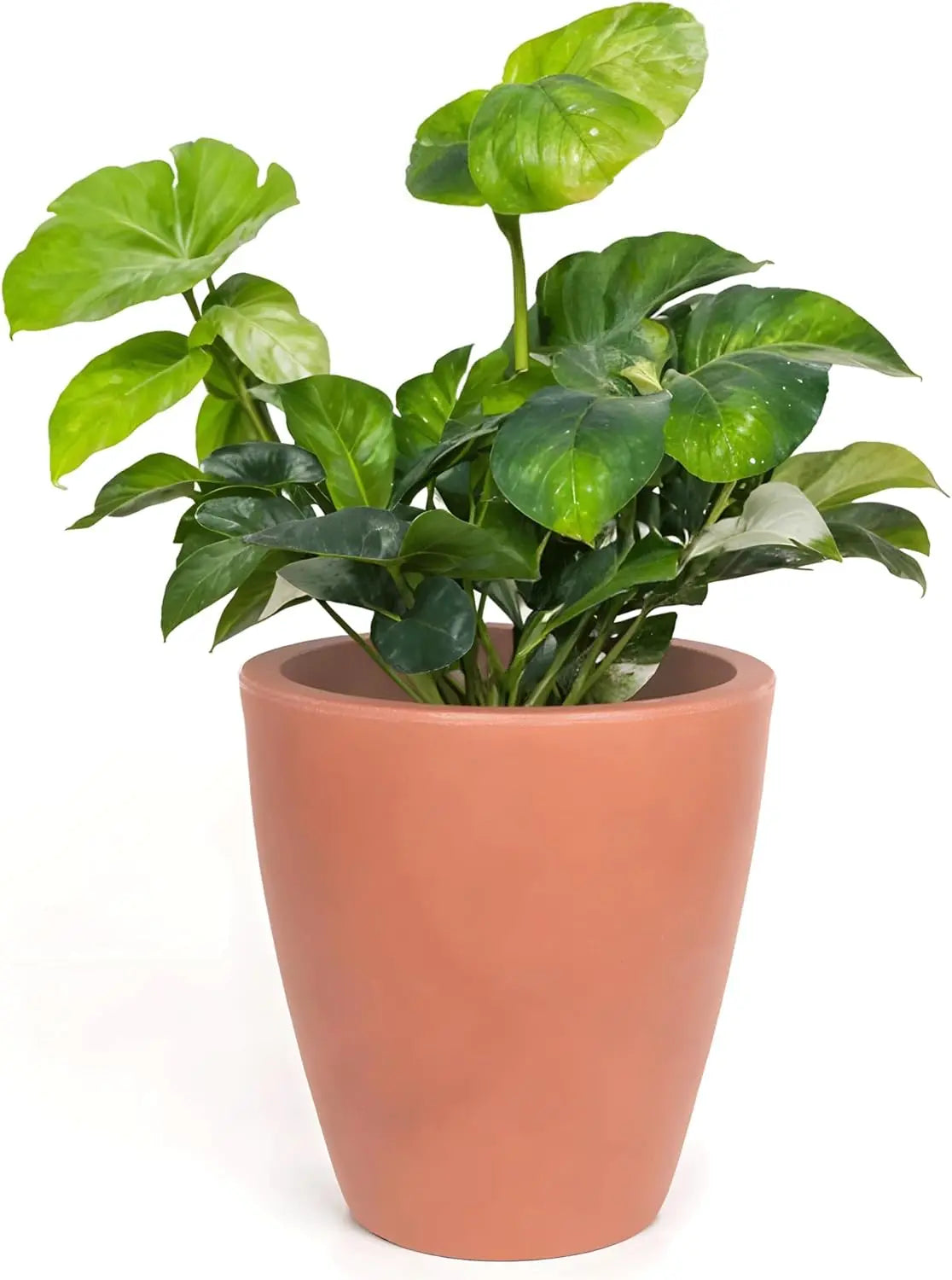 12 Inch Planter for Garden with Drainage, Large Round Pot