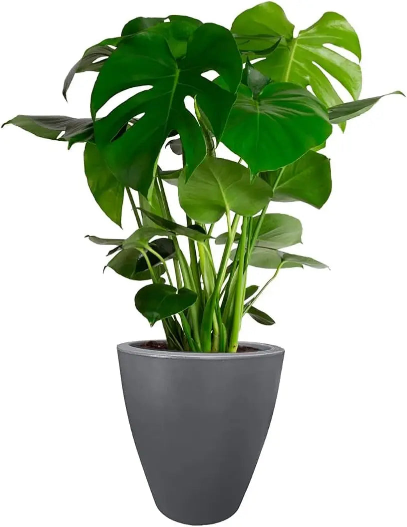 12 Inch Planter for Garden with Drainage, Large Round Pot